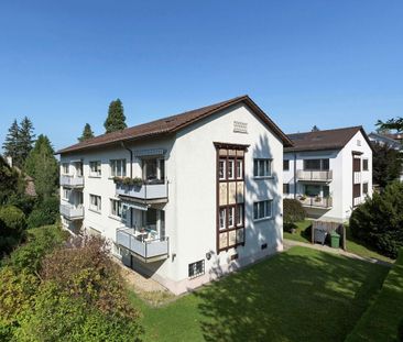 Bijou am Zürichberg, moderne Wohnung mit Gartensitzplatz - Photo 1