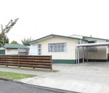 Havelock North 4 Bedder! - Photo 6