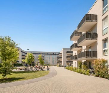 Hell und modern: Ihre neue 4-Zimmer-Wohnung wartet! - Foto 1