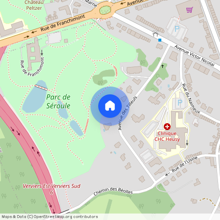 Avenue des Tilleuls, 25B, 1, 4802, Heusy