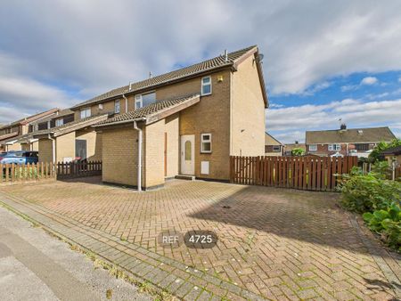 3 bedroom terraced house to rent - Photo 3