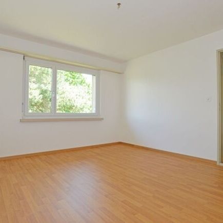 Location sans dépôt - première occupation après rénovation dans un endroit calme - Photo 1