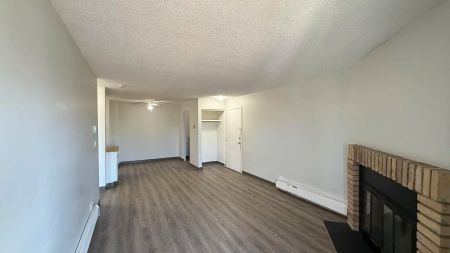 Castleview — Classic 1 Bed 1 Bath - Spacious - HEAT & WATER INCLUDED starts at $1295 - Photo 3