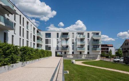 2.5 Zimmer, 72 m², 2. Stock - Foto 4