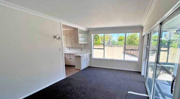 Sunny & Freshly Renovated 2-Bedroom Front Unit - Photo 1