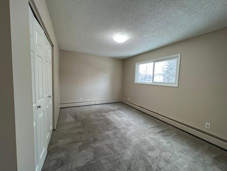 Pet Friendly 2 Bedroom 1 Bathroom Apartment - Photo 5