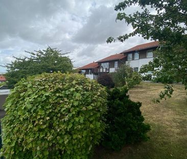 Renovierte 2-Raum-WE mit Balkon und Blick über Ilsenburg - Foto 1