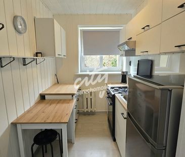 Centrum! Duża kawalerka z balkonem i parkingiem. - Photo 4