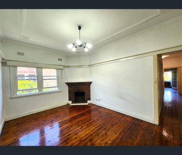 77 Palace Street, Ashfield, NSW 2131 - Photo 6