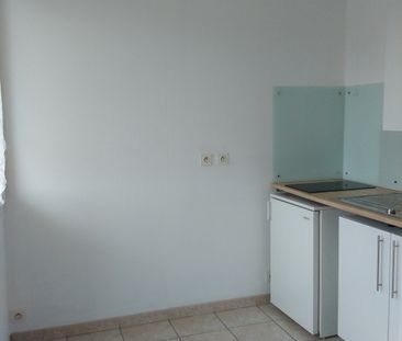 Location Appartement 1 pièce 29m² FLEURY LES AUBRAIS 45400 - Photo 2