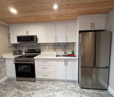 For Lease - 15 Serano Crescent Unit# Bsmt, Richmond Hill, Ontario - Photo 4