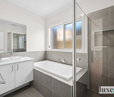 Available Now! - Photo 4