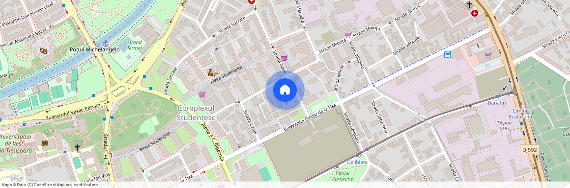 Complex Studentesc, Timisoara