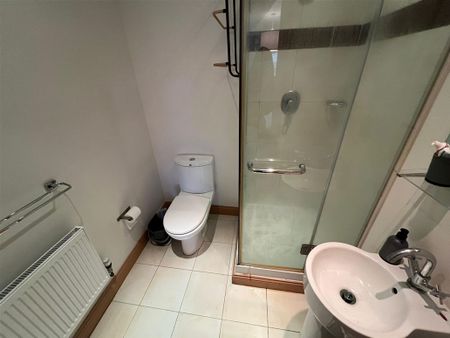 Beech House, Carrickmines, Dublin 18 - Photo 3