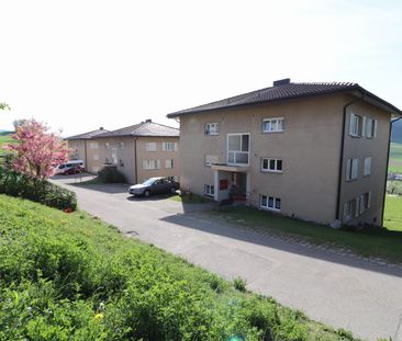 3 Zimmer, EG - Photo 6