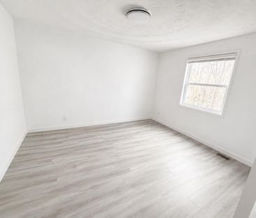 For Lease - 167 Ruggles Avenue, Richmond Hill, Ontario - Photo 5