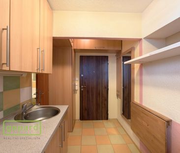 Pronájem bytu 1+kk a garsoniéry 20 m², Borská, Bor - Photo 3