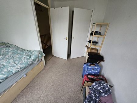 Northwoods Walk - Photo 3