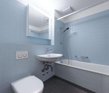 Quiet residential area near the University of Basel - Foto 2