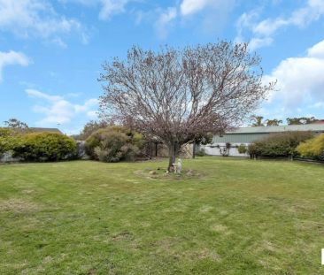 Spacious Family Living in Nuriootpa – Comfort, Space & Lifestyle - Photo 5