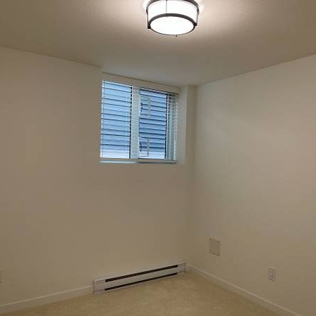 2 BED, 1 BATH, BRAND NEW LEGAL SUITE, OWN LAUNDRY, BIG LIVING ROOM - Photo 4