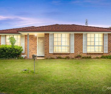 The Ultimate Entertainer - Photo 3