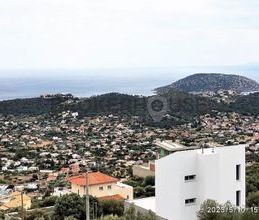 Διαμέρισμα για ενοικίαση - Ανάβυσσος - Photo 4