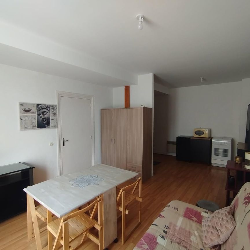 Location Appartement 1 pièce 26m² RICHELIEU 37120 - Photo 1