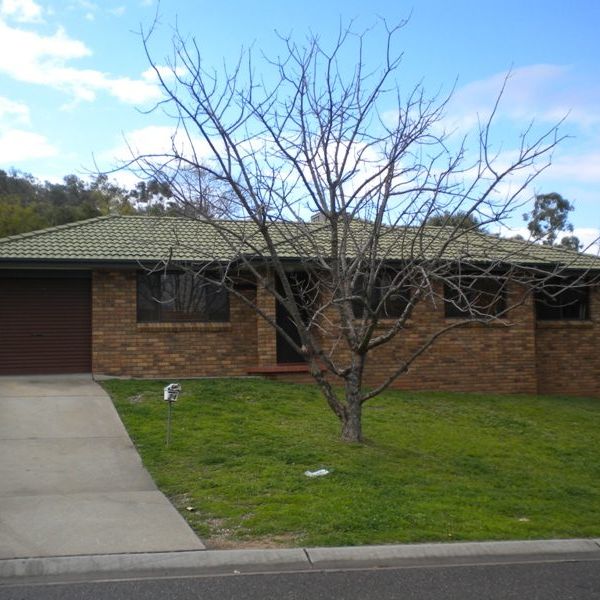 24 Eucalypt Ave, Tamworth, NSW 2340 - Photo 1