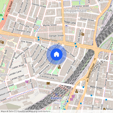 166 Abercrombie Street, Redfern, NSW 2016