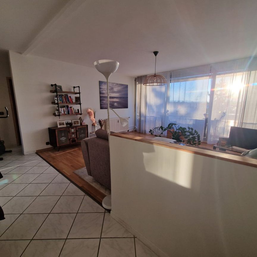 Location Appartement 3 pièces 69m² ST LOUIS 68300 - Photo 1