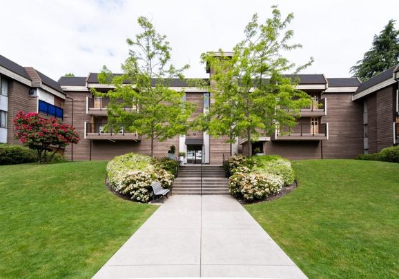 Cedar Terrace - Photo 1