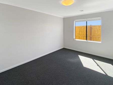 7 Marion Street, Bonshaw - Photo 5