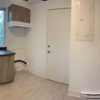 4-1/2 insonorisé libre maintenant chien accepté - Photo 4