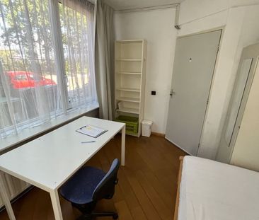 Argostraat - Photo 3