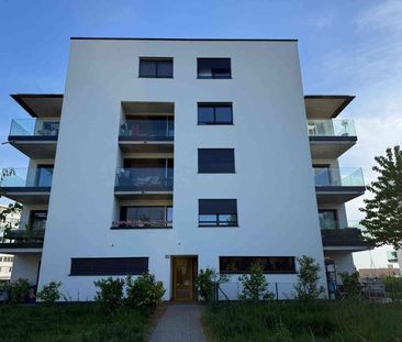 2.5 Zimmer, 47 m², 1. Stock - Photo 4