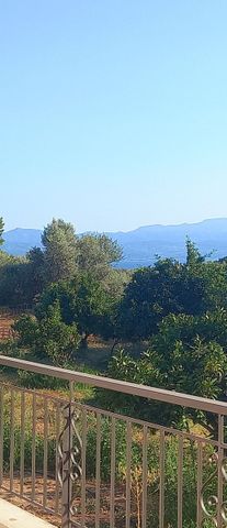 Μονοκατοικία για ενοικίαση Μαγούλα (Ερέτρια) - Photo 2