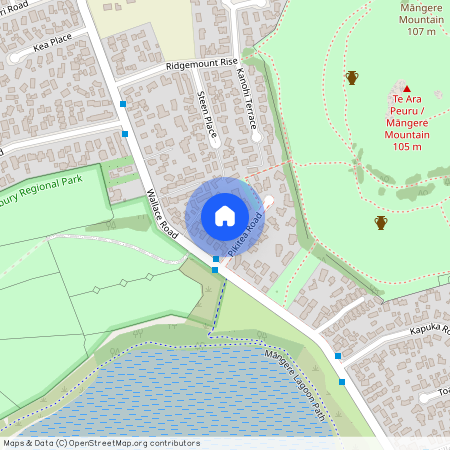 4a Pikitea Road, Mangere Bridge, Manukau City