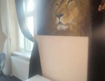 Stylische WG zentral am Kottbusser Tor - Photo 1