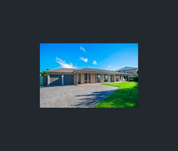 34 Hillcrest Street, Wollongong, NSW 2500 - Photo 2