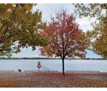 For Lease - 29 QUEENS QUAY N/A Unit# 1123, Toronto, Ontario - Photo 5