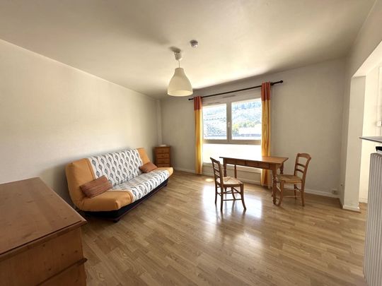 Location Appartement 1 pièce 31m² ST ETIENNE 42100 - Photo 1