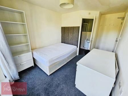 Mosquito Way - Photo 5