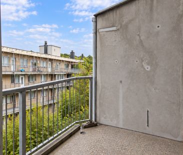 Pieter Vlamingstraat 272, 1093 DK, Amsterdam - foto 3