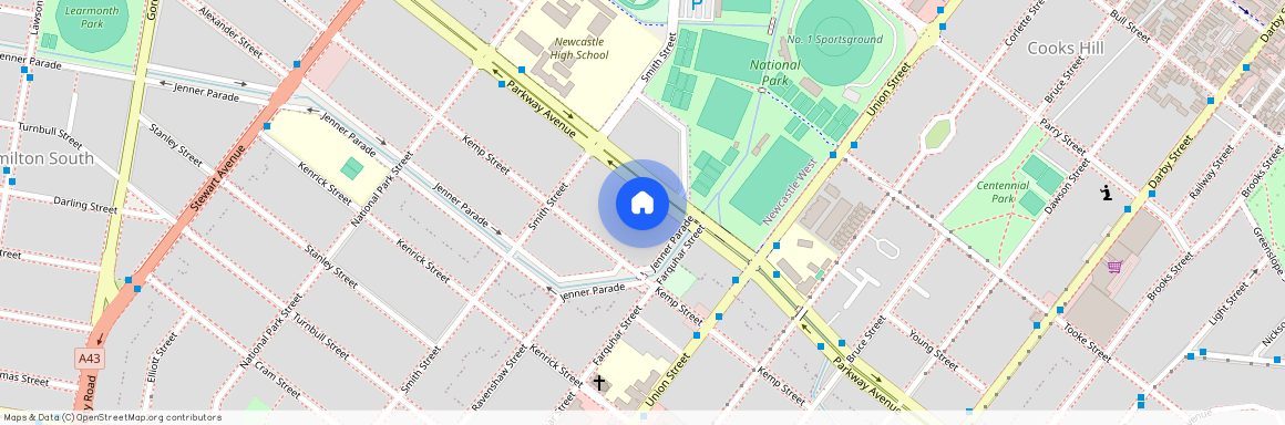 143 Parkway Avenue, NSW 2303, Hamilton South