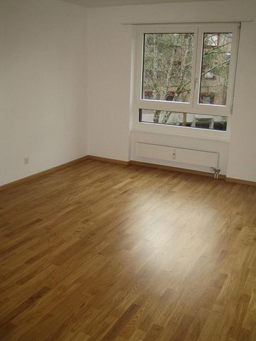 Zuhause im schönen Arlesheim - Basel Land - Foto 4