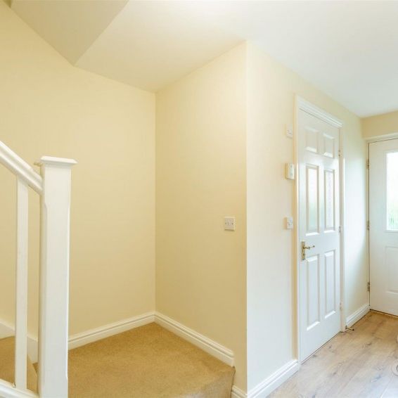 1 bedroom - Photo 1