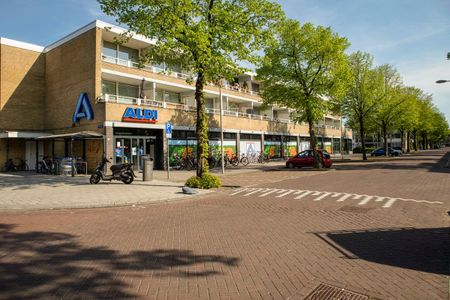 Bolestein 364 - Photo 4