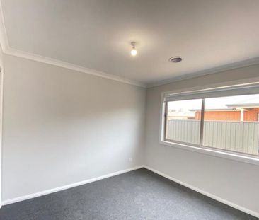 Family Living in Jackass Flat! - Photo 2