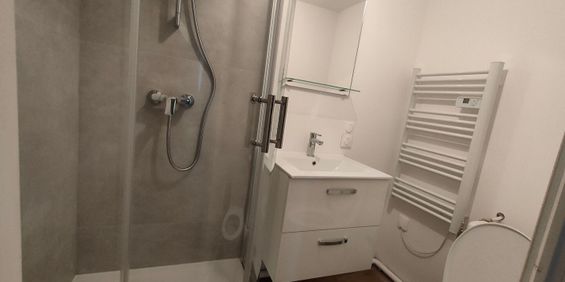 Location Appartement 1 pièce 26m² - Photo 3